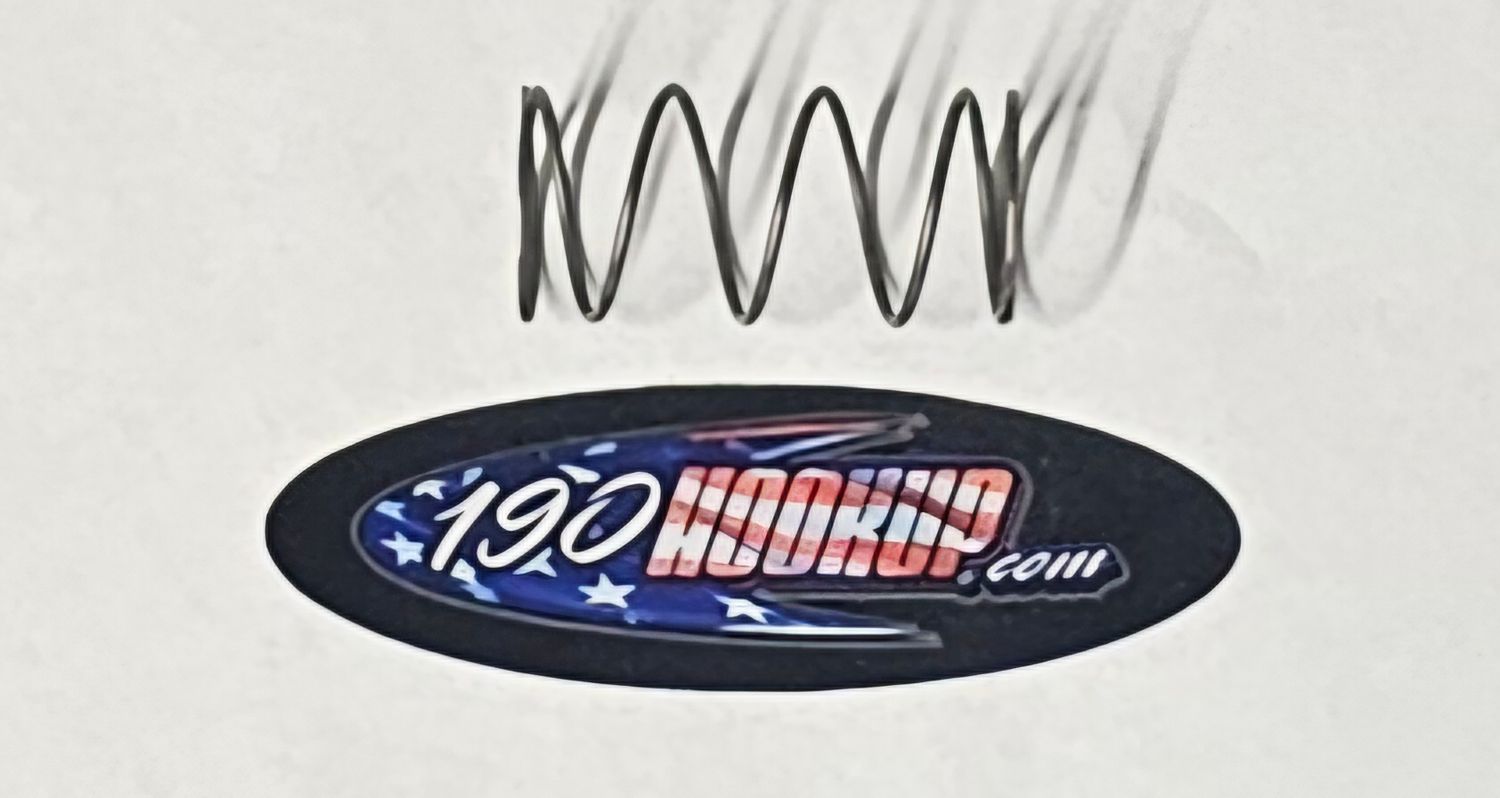 Replacement Spring for Robinson 4 or 6 Speed Auto Hayabusa