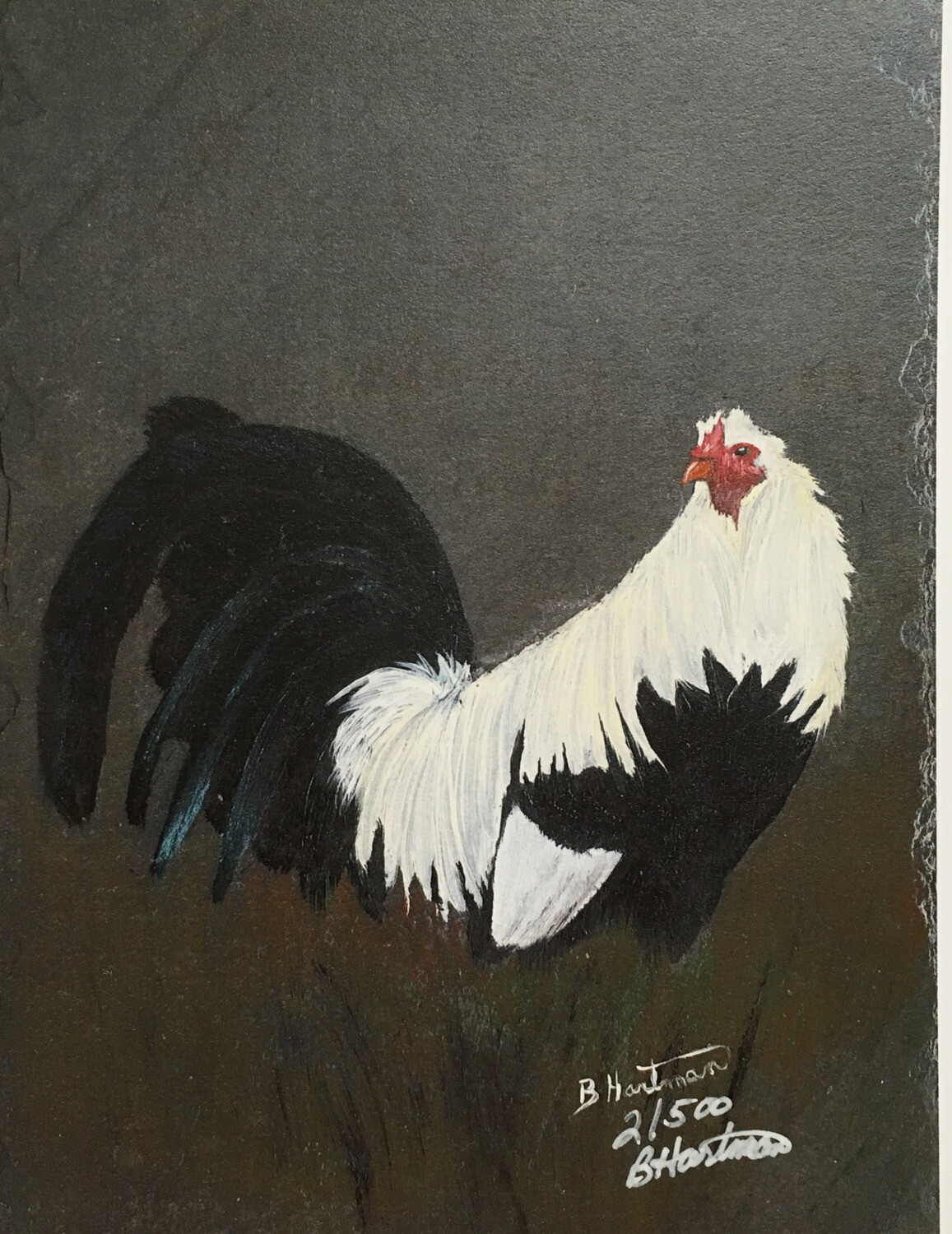 Art Print: Game Fowl Rooster. Grey