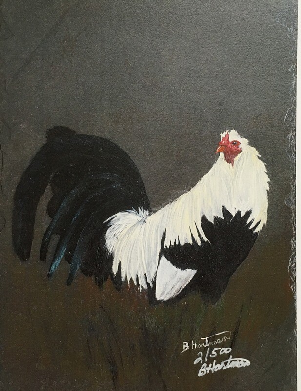 Art Print: Game Fowl Rooster. Grey