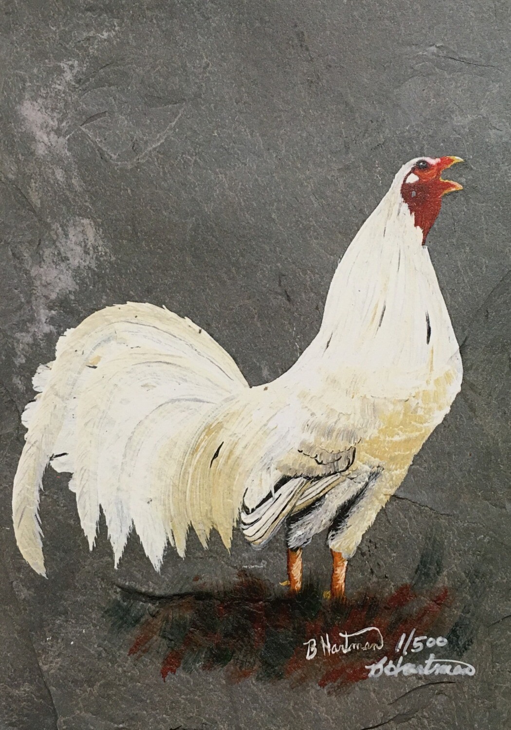 Art Prints: Game Fowl Rooster, Thompson White