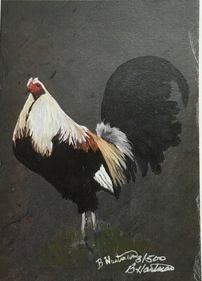 Art Print: Game Fowl Rooster, Frosted Grey