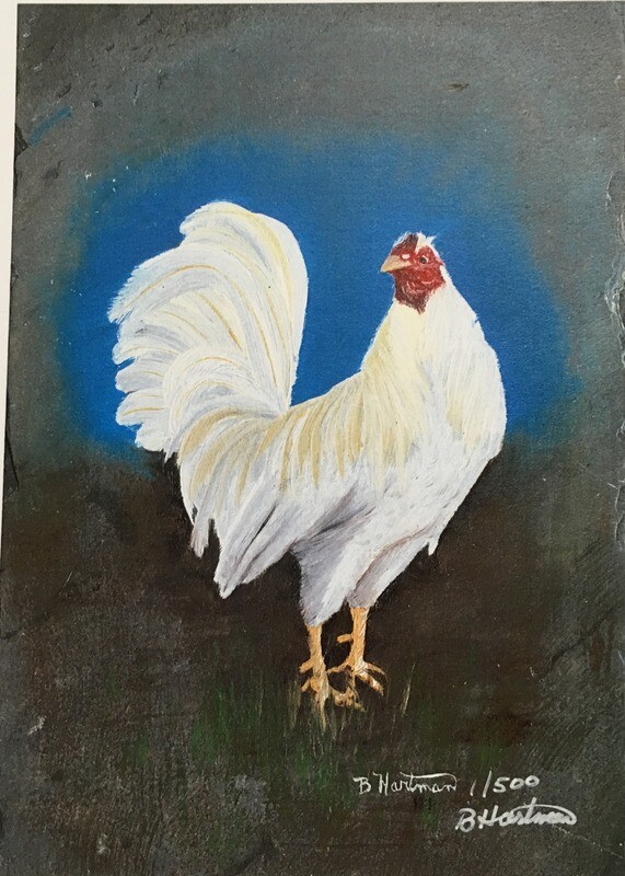 Art Print: Game Fowl Rooster, Briar White Kelso