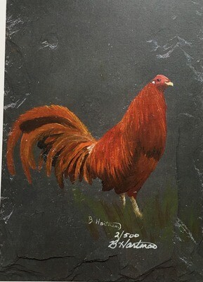 Art Print: Game Fowl Rooster, Radio