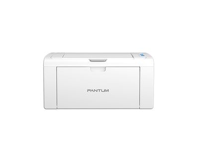 Impresora Pantum P2509W
