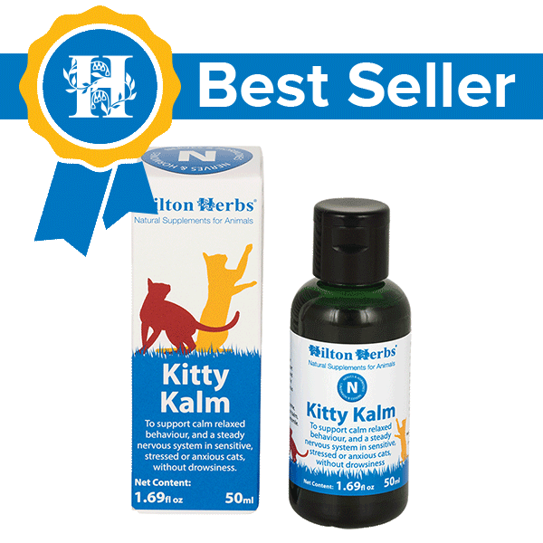 KITTY CALM - toode tellitud, oleme tarne ootel