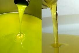Olio di Oliva EVO DOP 5 liter, Marken, Italien Olio di Oliva EVO DOP 5 liter, Marken, Italien
