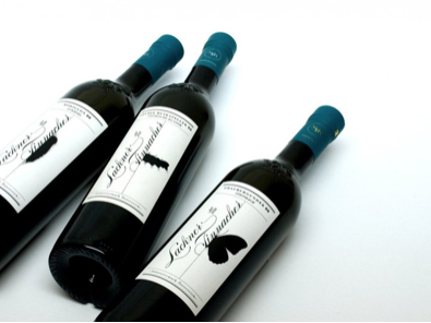 Sauvignon blanc 2020 BIO Lackner-Tinnacher Sauvignon blanc 2020 BIO Lackner-Tinnacher