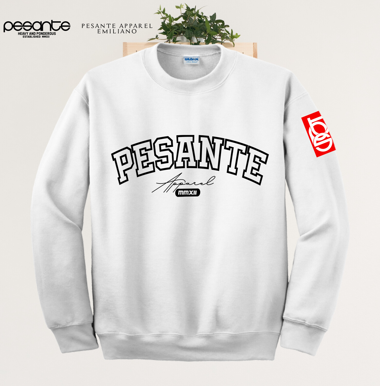 SOLID GRAPHIC SWEATERS