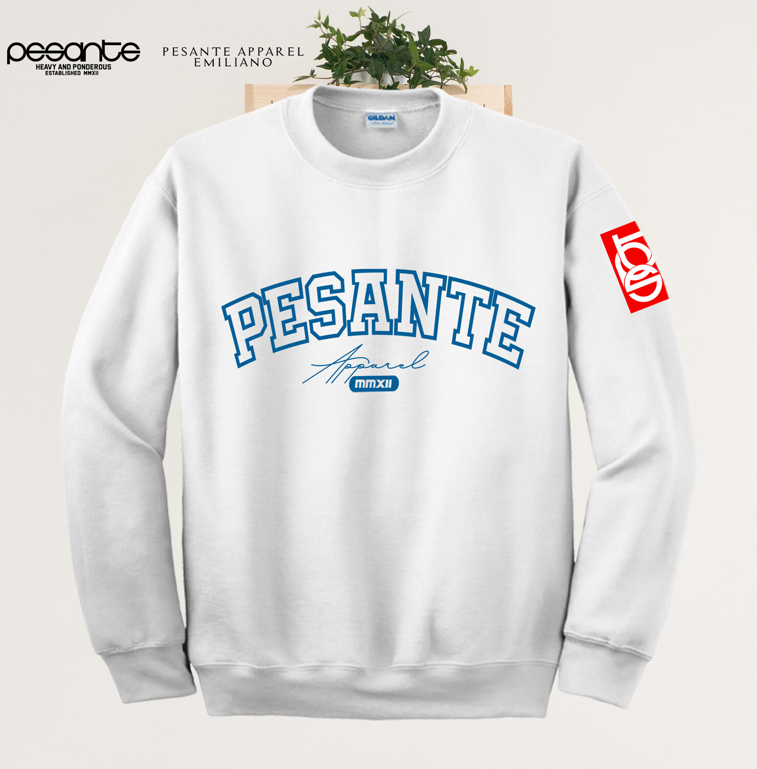SOLID GRAPHIC SWEATERS