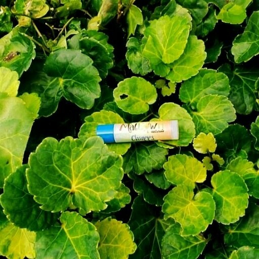 Chupps Lip Balm