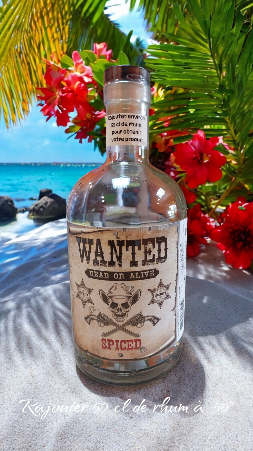 Concentré pour 70 cl  spiced  Wanted