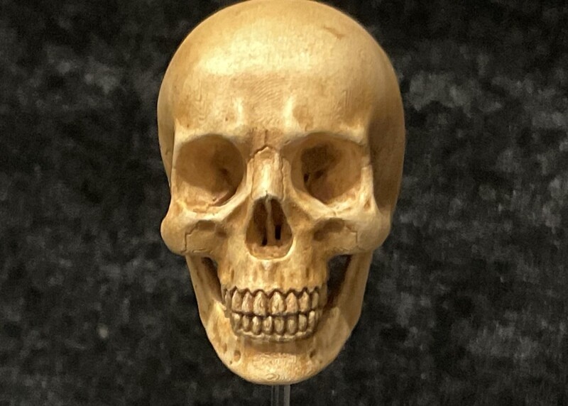 1:6th Scale resin Skull