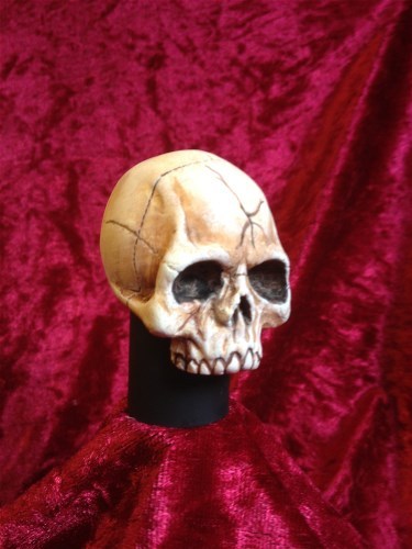 Decorative skull,  Cane handle ( knob )