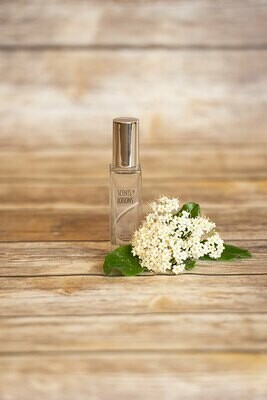 Men's Cologne