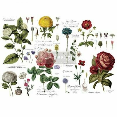 Décor Transfer - Vintage Botanical