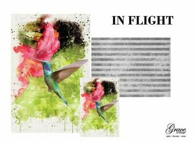 CLOSEOUT In Flight Decoupage Pack CLOSEOUT In Flight Decoupage Pack