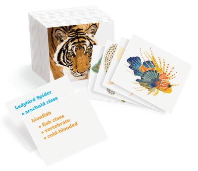 Animal Kingdom Cards