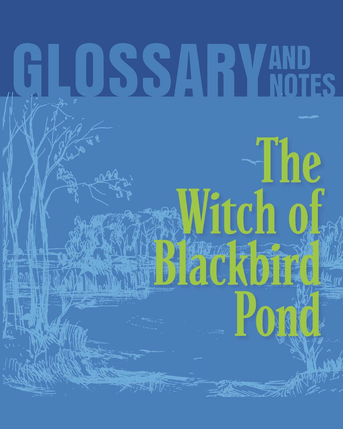 Glossary and Notes The Witch of Blackbird Pond Glossary and Notes The Witch of Blackbird Pond