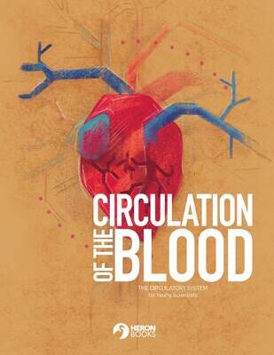 Circulation of the Blood - Young Scientist Collection
