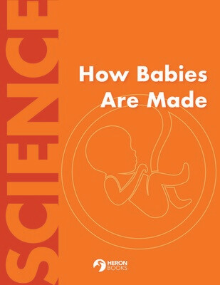 How Babies Are Made