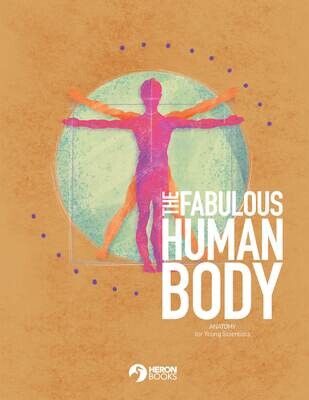 Ages 9-12 (Free Download) -The Fabulous Human Body - Chapter 6 - Stand Up - Young Scientist Collection