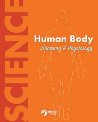 Human Body - Anatomy & Physiology Human Body - Anatomy & Physiology