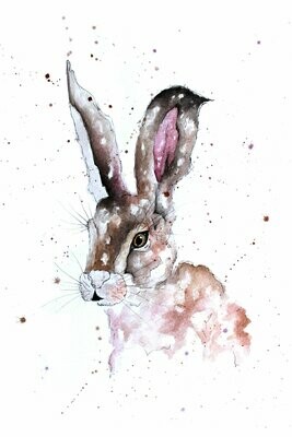 'Highland Hare' Print