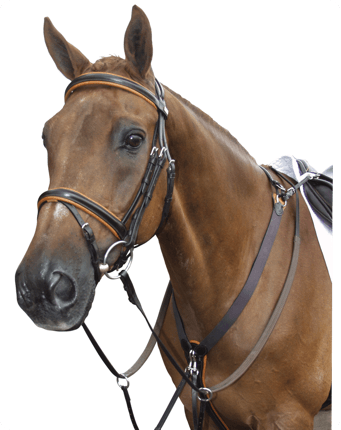3 Point breastplate - Brown