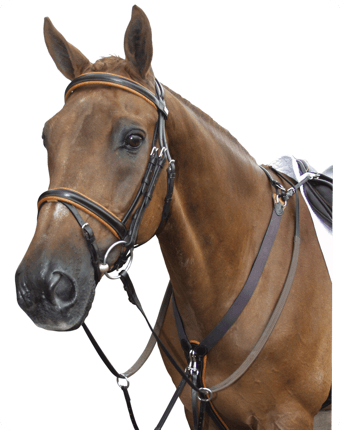 3 Point breastplate - Black