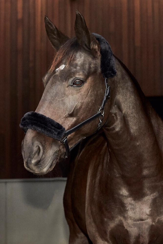 Catago Leather Fur Lined Headcollar