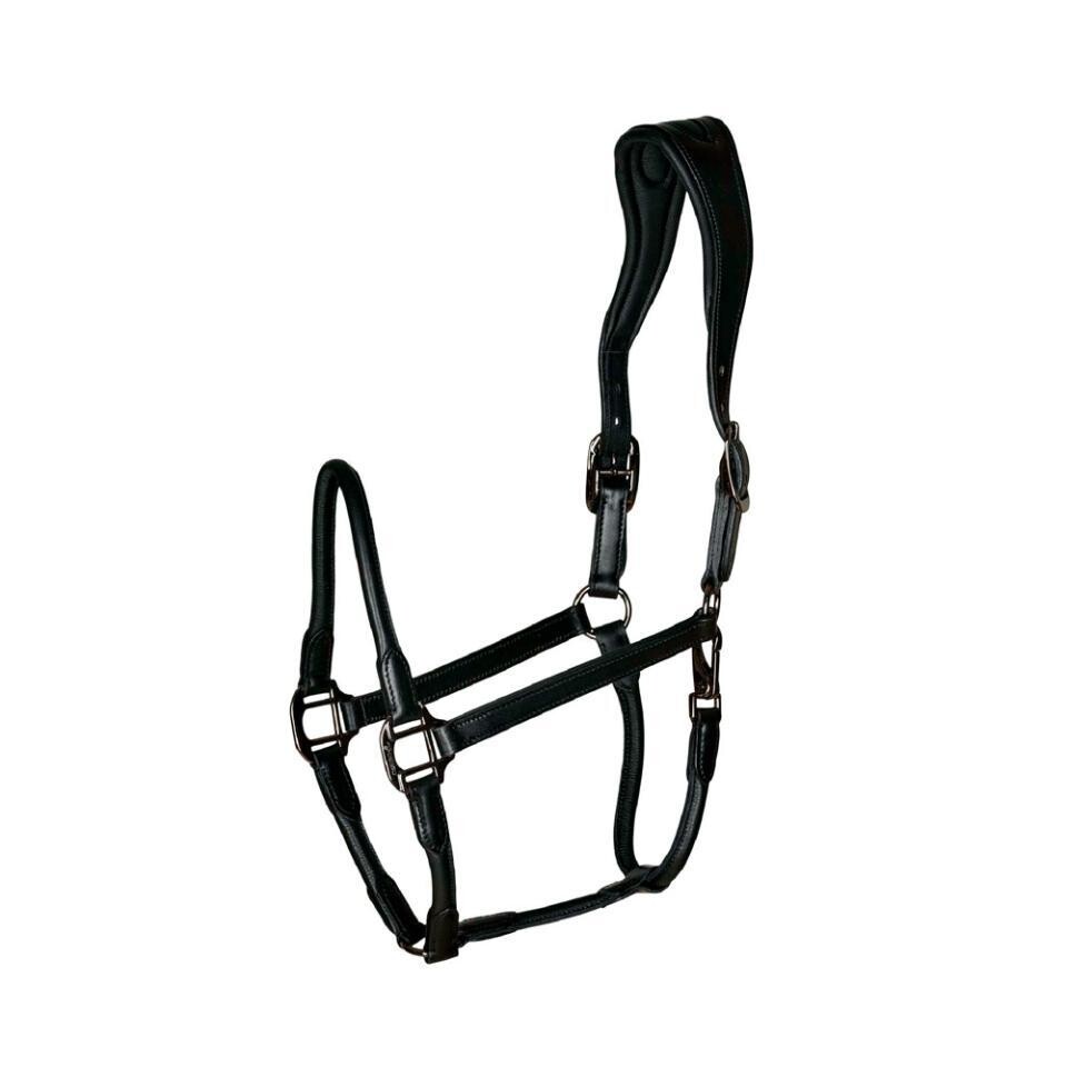 Catago Leather Headcollar Black Full