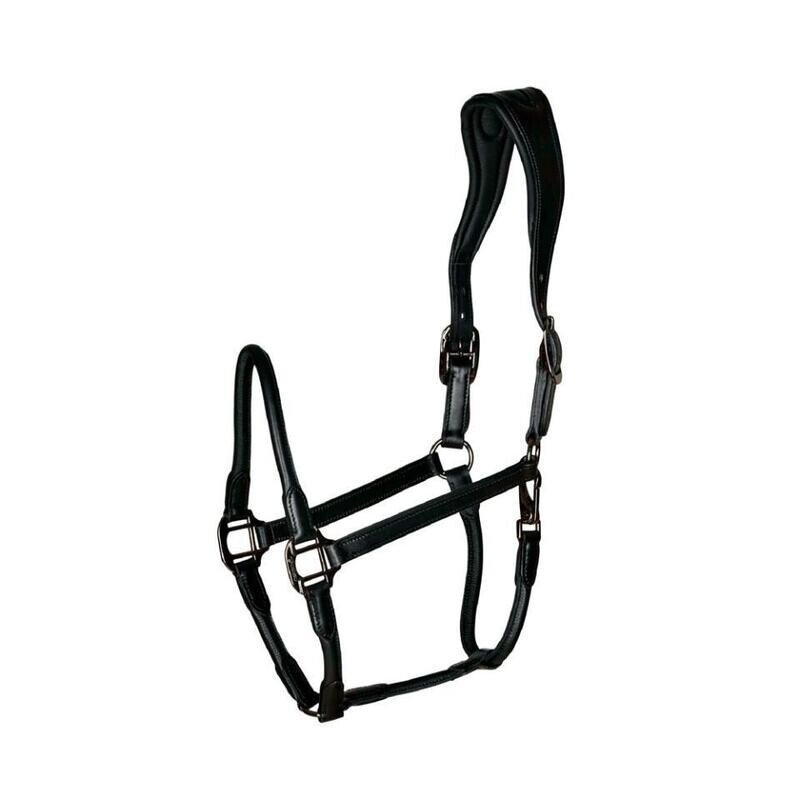 Catago Leather Headcollar Black Cob
