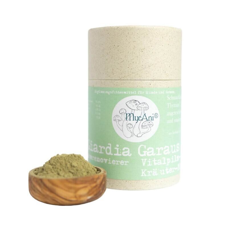 MycAni Giardia Garaus, Fiffi