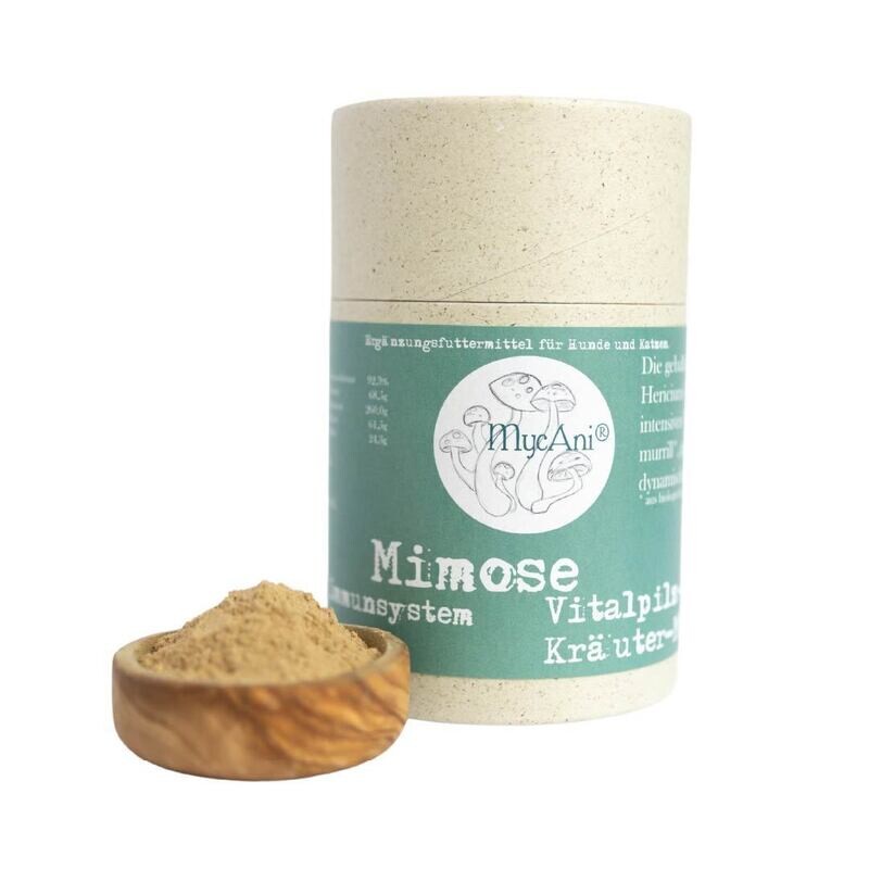 MycAni Mimose, Fiffi