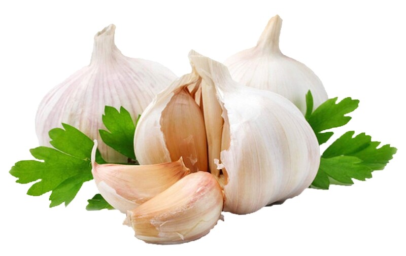 GARLIC CILANTRO EVOO GARLIC CILANTRO EVOO