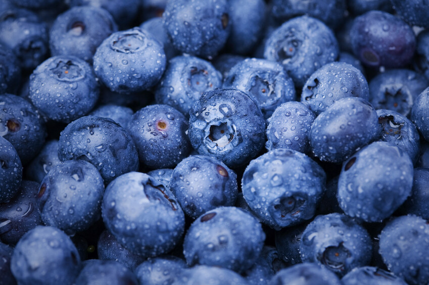 BLUEBERRY