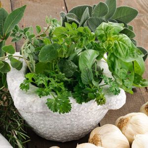 ITALIAN HERBS WHITE BALSAMIC ITALIAN HERBS WHITE BALSAMIC