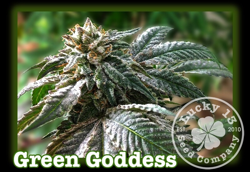 Green Goddess