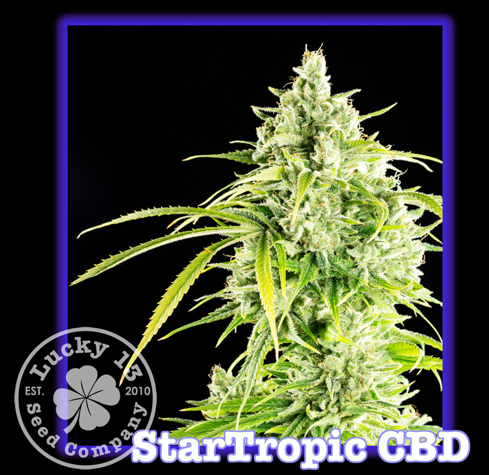 Startropic CBD
