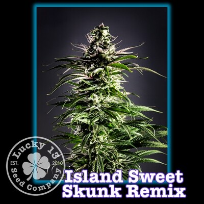Island Sweet Skunk Remix