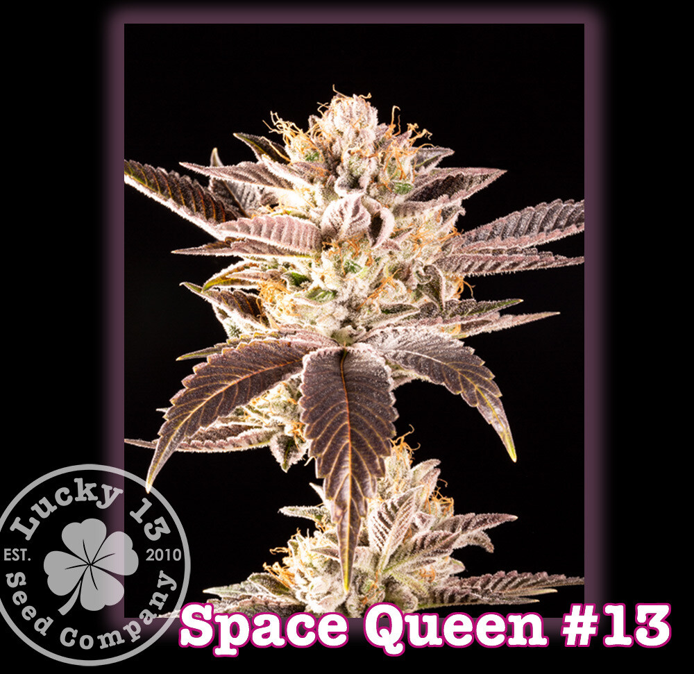 Space Queen