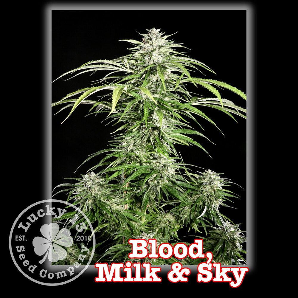 Blood, Milk &amp; Sky