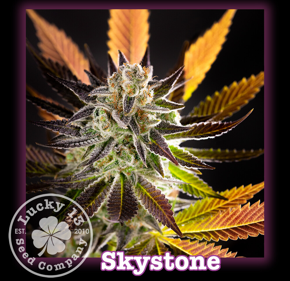 Skystone