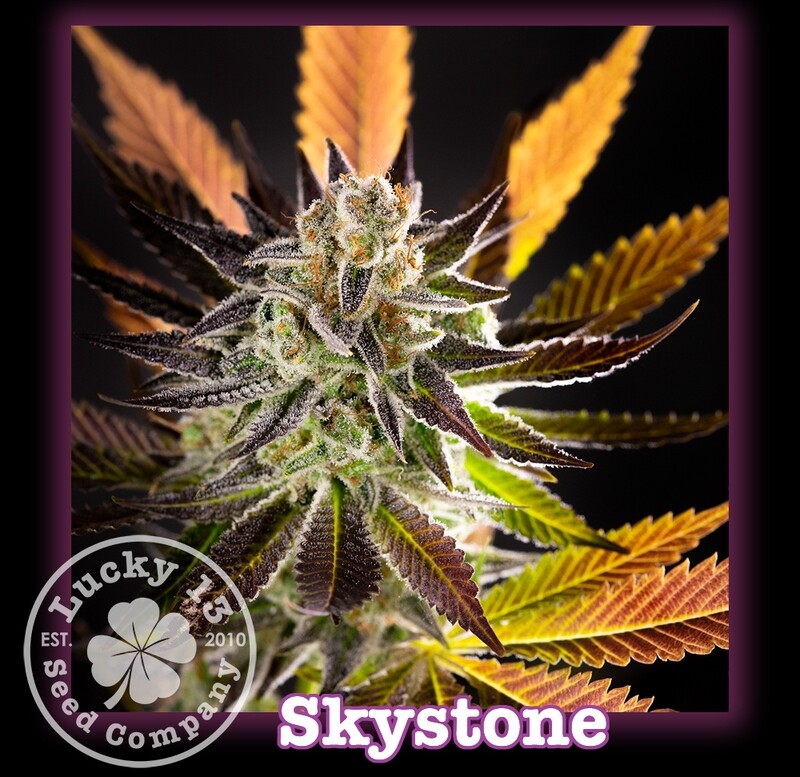 Skystone