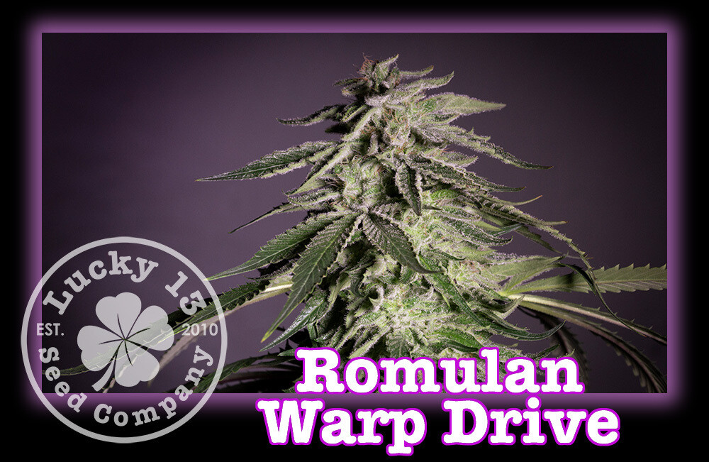 Romulan Warp Drive