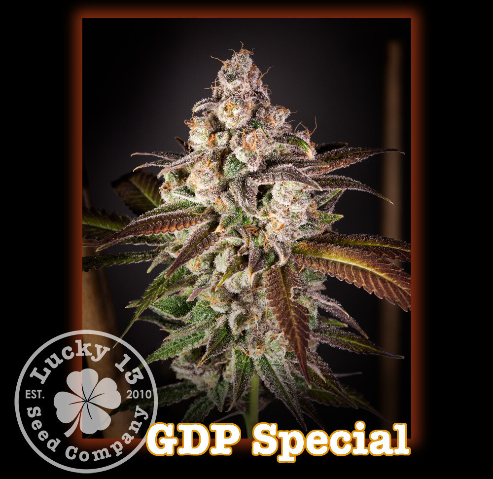 GDP Special