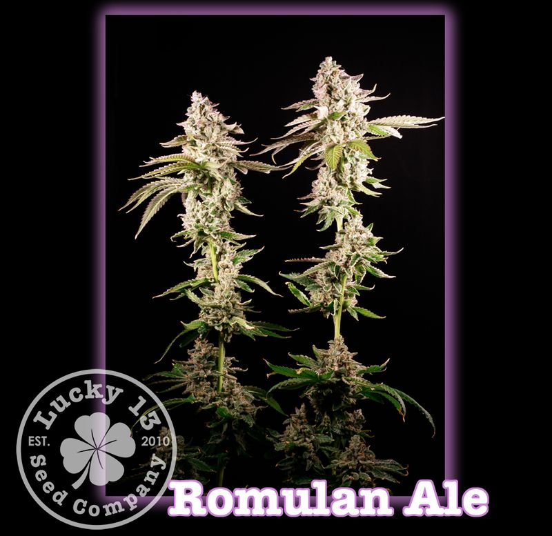 #1 Romulan Ale