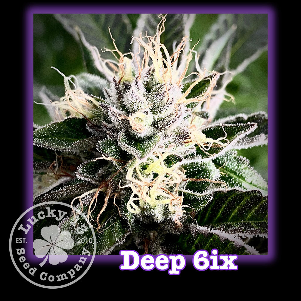 Deep 6ix