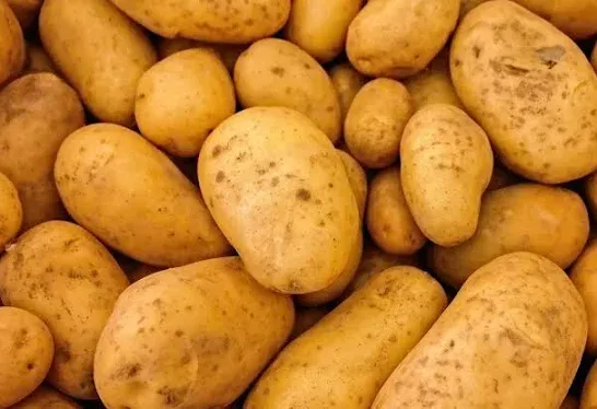 Potato