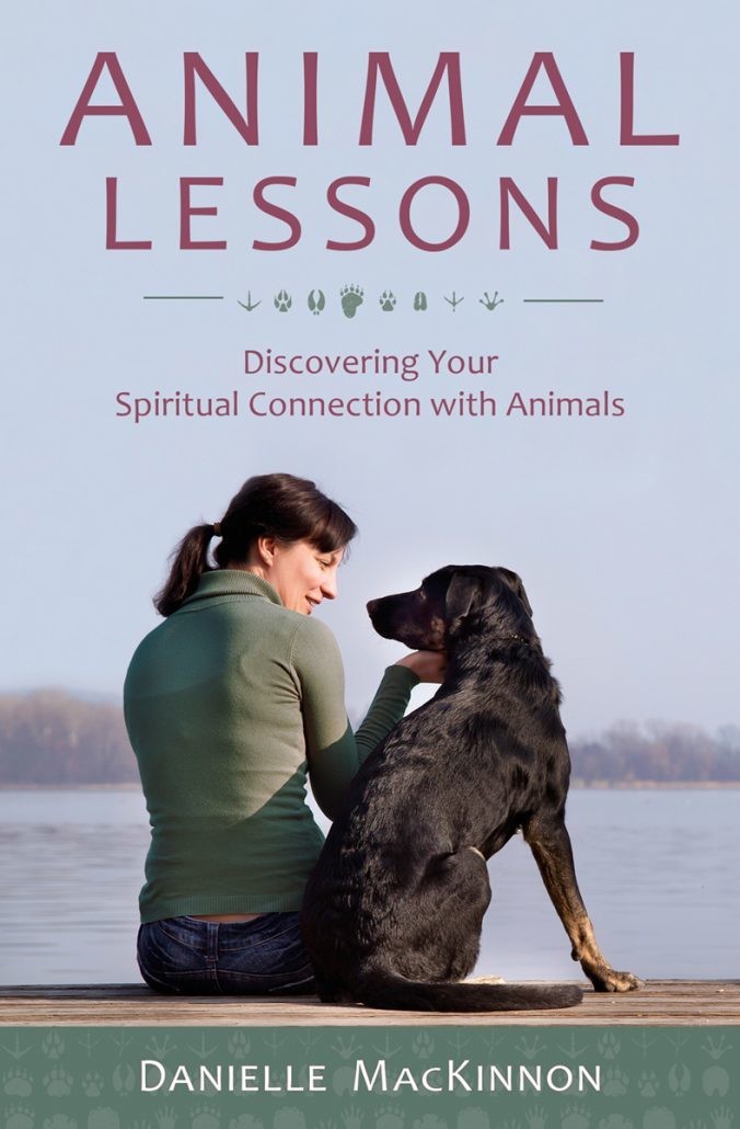 Animal Lessons Animal Lessons
